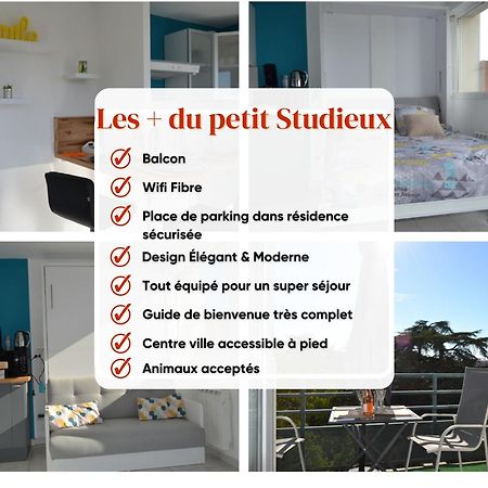 Le Petit Studieux - Parking - Animaux Acceptes - Centre Ville Accessible A Pied Albi Zewnętrze zdjęcie