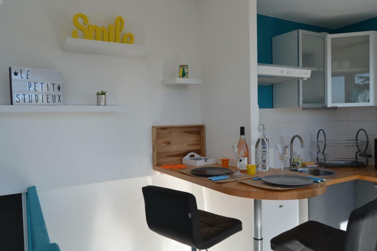 Le Petit Studieux - Parking - Animaux Acceptes - Centre Ville Accessible A Pied Albi Zewnętrze zdjęcie