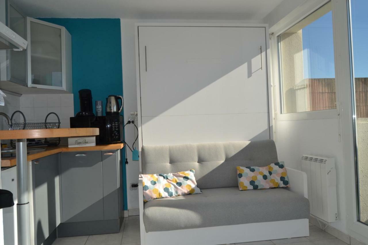 Le Petit Studieux - Parking - Animaux Acceptes - Centre Ville Accessible A Pied Albi Zewnętrze zdjęcie