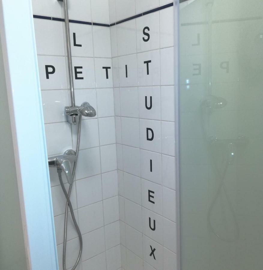 Le Petit Studieux - Parking - Animaux Acceptes - Centre Ville Accessible A Pied Albi Zewnętrze zdjęcie