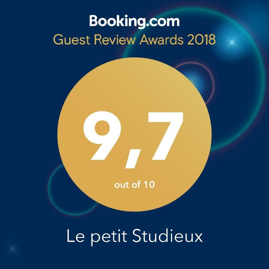 Le Petit Studieux - Parking - Animaux Acceptes - Centre Ville Accessible A Pied Albi Zewnętrze zdjęcie